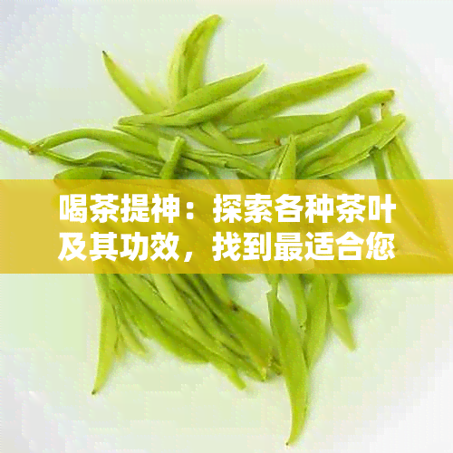 喝茶提神：探索各种茶叶及其功效，找到最适合您的那一款