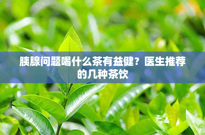 胰腺问题喝什么茶有益健？医生推荐的几种茶饮