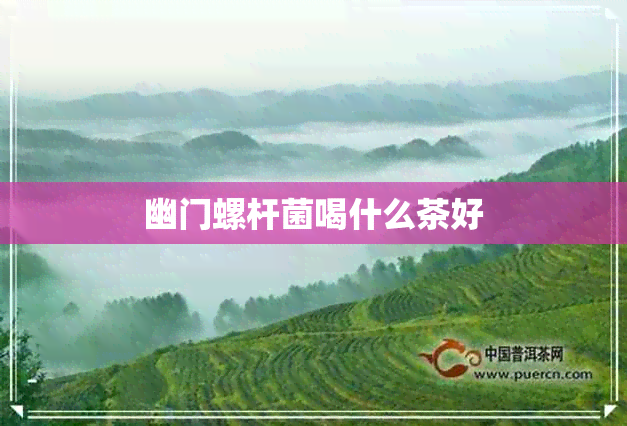 幽门螺杆菌喝什么茶好