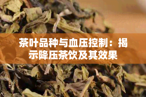 茶叶品种与血压控制：揭示降压茶饮及其效果