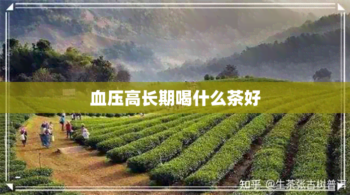 血压高长期喝什么茶好