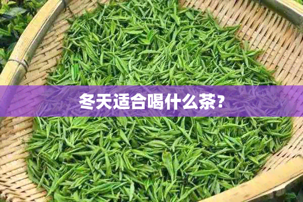 冬天适合喝什么茶？