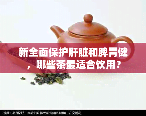 新全面保护肝脏和脾胃健，哪些茶最适合饮用？