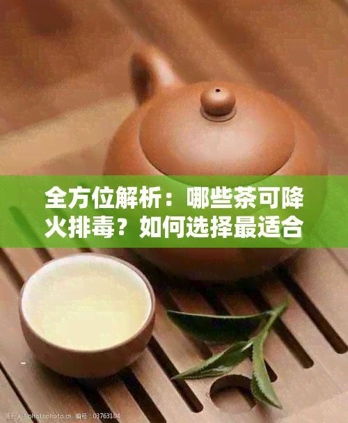 全方位解析：哪些茶可降火排？如何选择最适合的茶叶来达到效果？