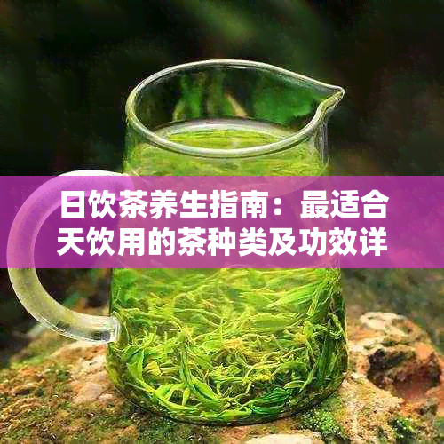 日饮茶养生指南：最适合天饮用的茶种类及功效详解