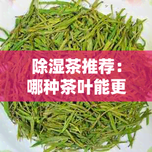 除湿茶推荐：哪种茶叶能更好地帮助去除体内湿气？