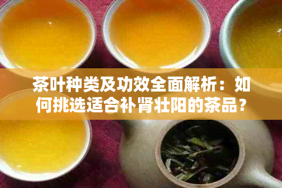 茶叶种类及功效全面解析：如何挑选适合补肾壮阳的茶品？