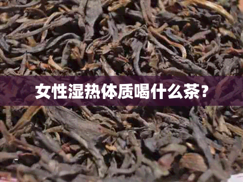 女性湿热体质喝什么茶？