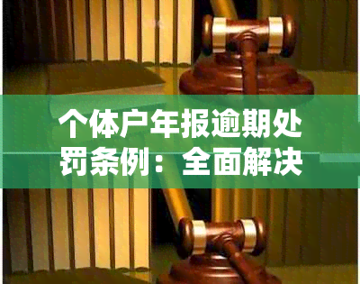 个体户年报逾期处罚条例：全面解决用户可能搜索的相关问题