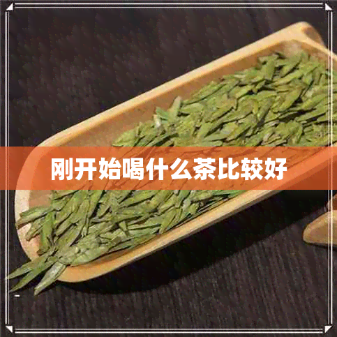 刚开始喝什么茶比较好