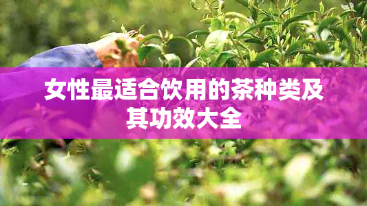 女性最适合饮用的茶种类及其功效大全