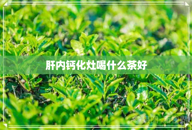 肝内钙化灶喝什么茶好