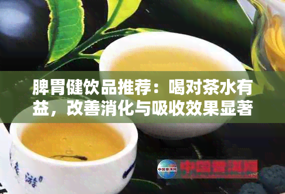 脾胃健饮品推荐：喝对茶水有益，改善消化与吸收效果显著