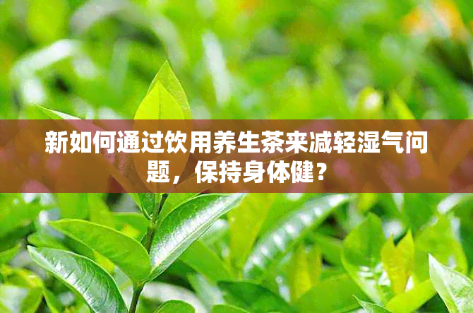 新如何通过饮用养生茶来减轻湿气问题，保持身体健？