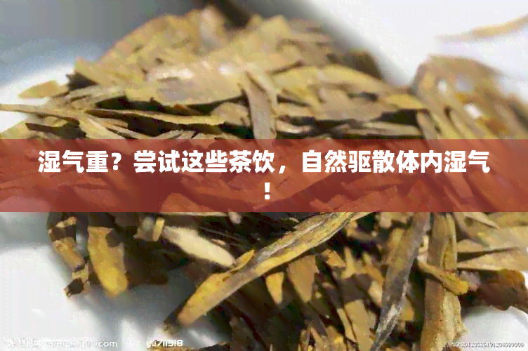 湿气重？尝试这些茶饮，自然驱散体内湿气！