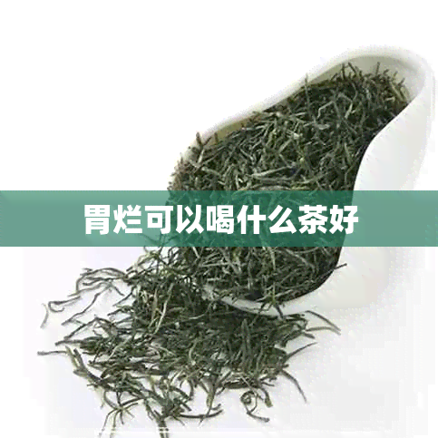 胃烂可以喝什么茶好