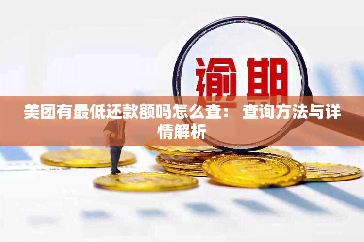 美团有更低还款额吗怎么查： 查询方法与详情解析