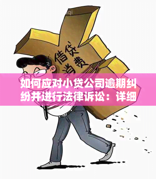 如何应对小贷公司逾期纠纷并进行法律诉讼：详细流程与策略