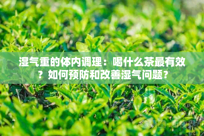 湿气重的体内调理：喝什么茶最有效？如何预防和改善湿气问题？