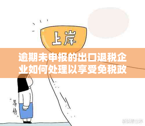 逾期未申报的出口退税企业如何处理以享受免税政策？税务总局详解操作步骤