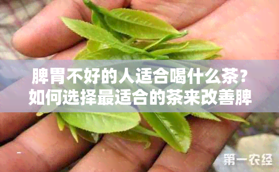 脾胃不好的人适合喝什么茶？如何选择最适合的茶来改善脾胃问题？