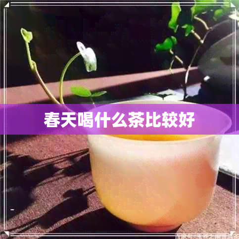 春天喝什么茶比较好