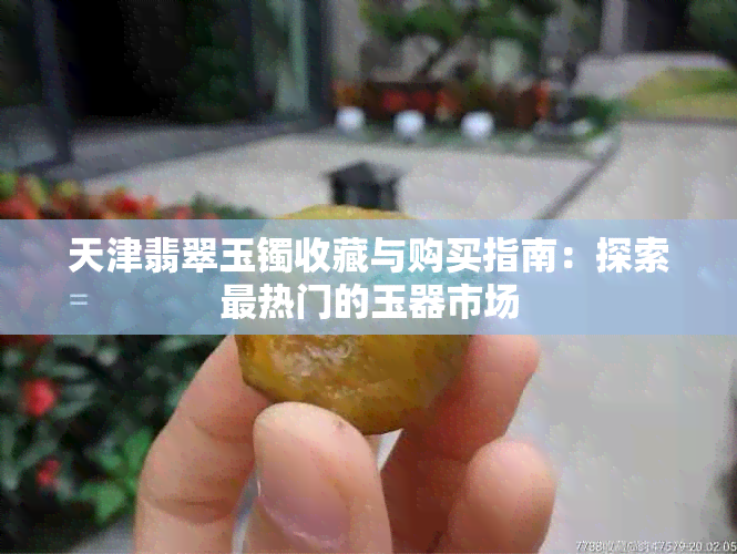 天津翡翠玉镯收藏与购买指南：探索最热门的玉器市场