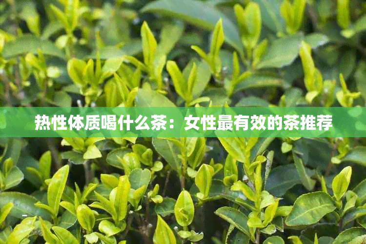 热性体质喝什么茶：女性最有效的茶推荐