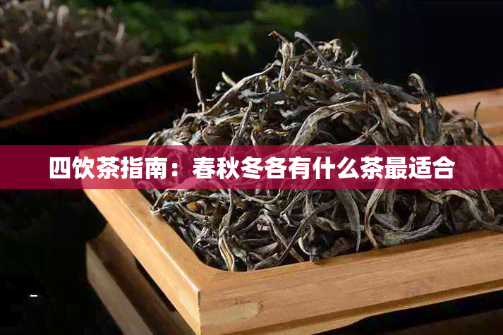 四饮茶指南：春秋冬各有什么茶最适合