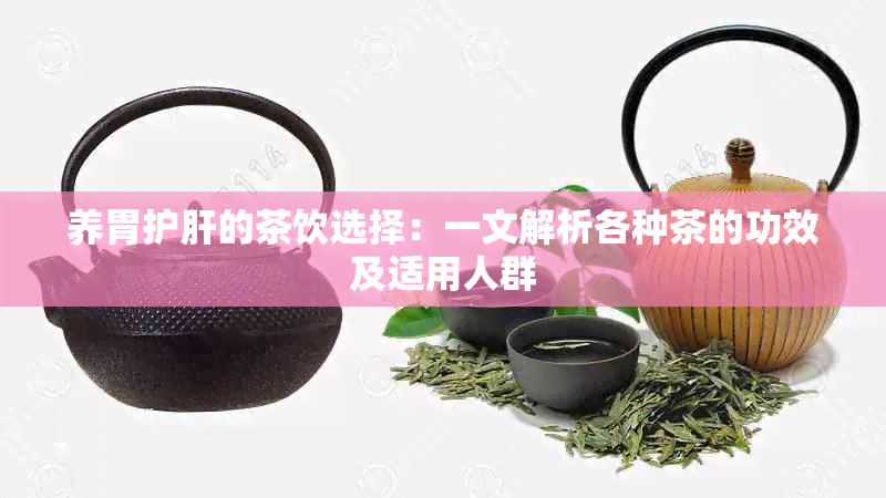 养胃护肝的茶饮选择：一文解析各种茶的功效及适用人群