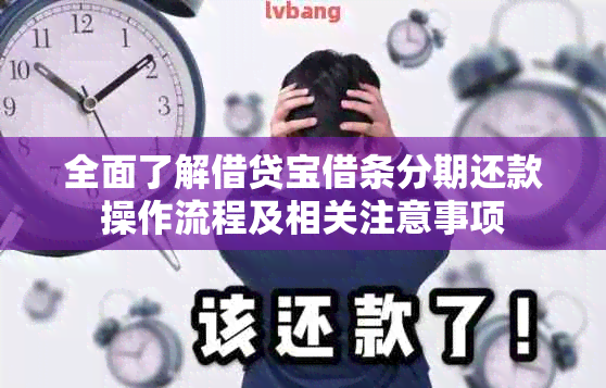 全面了解借贷宝借条分期还款操作流程及相关注意事项