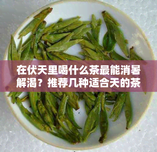 在伏天里喝什么茶最能消暑解渴？推荐几种适合天的茶叶