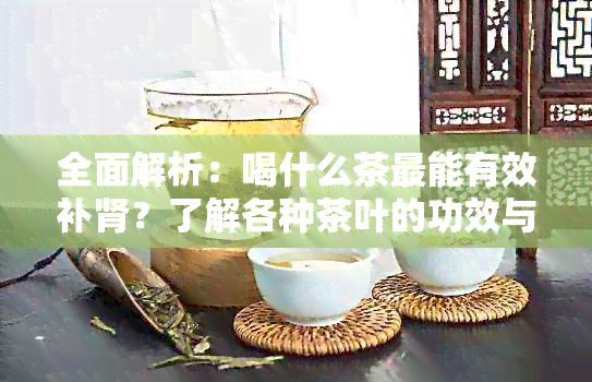 全面解析：喝什么茶最能有效补肾？了解各种茶叶的功效与适用人群