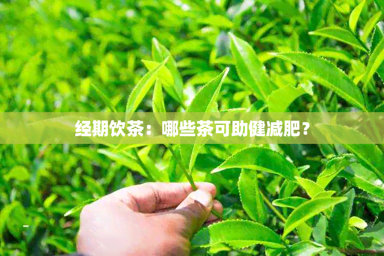 经期饮茶：哪些茶可助健减肥？