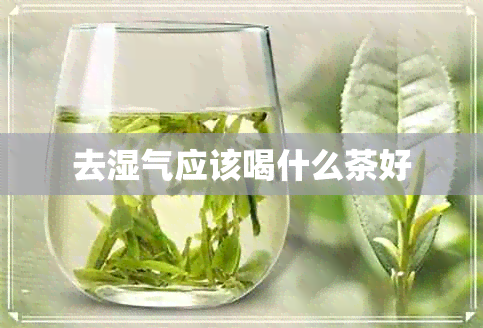 去湿气应该喝什么茶好