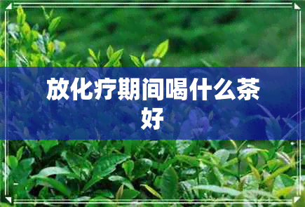 放化疗期间喝什么茶好