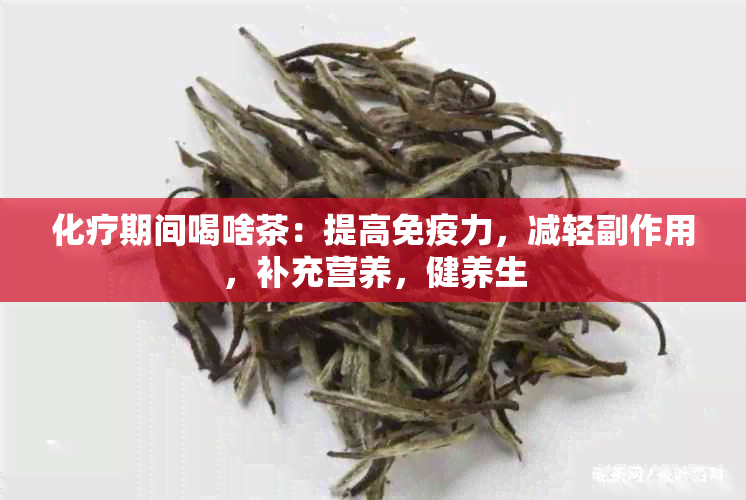 化疗期间喝啥茶：提高免疫力，减轻副作用，补充营养，健养生