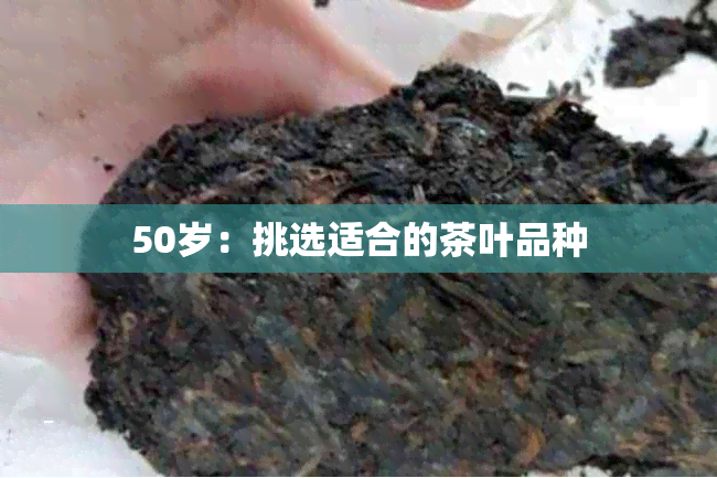 50岁：挑选适合的茶叶品种