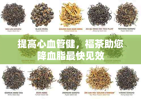 提高心血管健，福茶助您降血脂最快见效