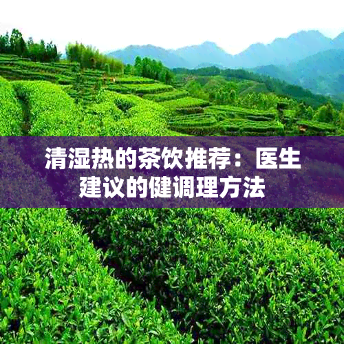 清湿热的茶饮推荐：医生建议的健调理方法