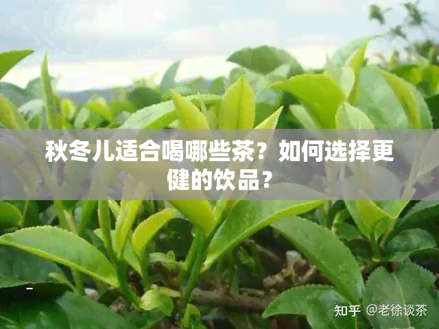 秋冬儿适合喝哪些茶？如何选择更健的饮品？