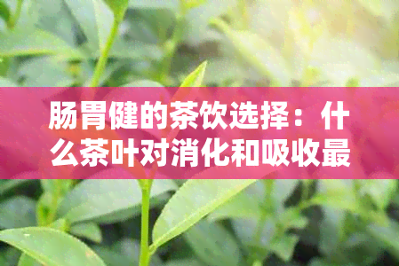 肠胃健的茶饮选择：什么茶叶对消化和吸收最有益？