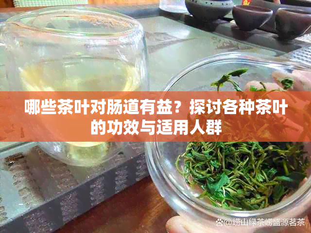 哪些茶叶对肠道有益？探讨各种茶叶的功效与适用人群