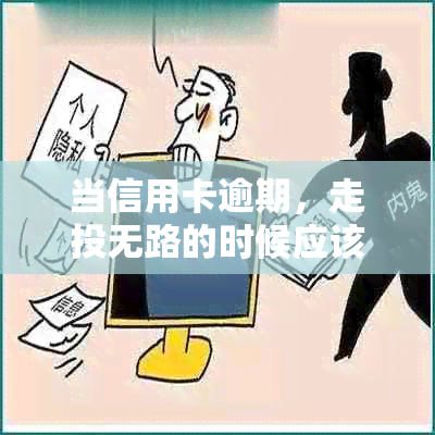 当信用卡逾期，走投无路的时候应该怎么办？