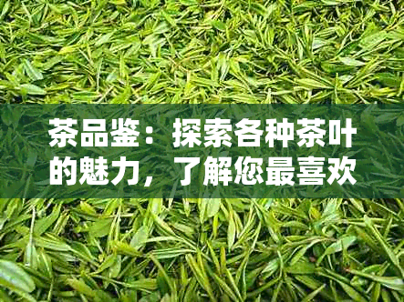 茶品鉴：探索各种茶叶的魅力，了解您最喜欢的茶的种类和口感