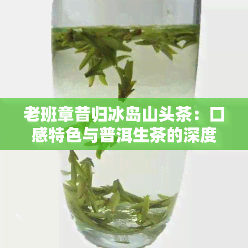 老班章昔归冰岛山头茶：口感特色与普洱生茶的深度解析