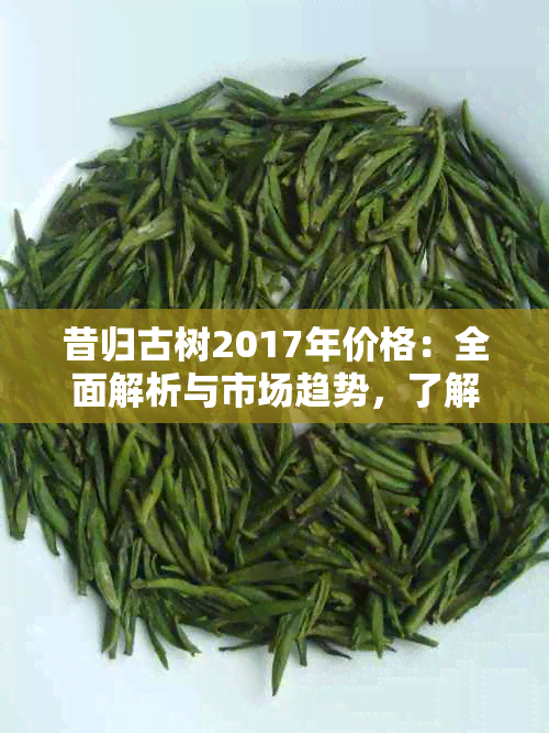 昔归古树2017年价格：全面解析与市场趋势，了解古树茶的投资价值与品质特点