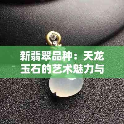 新翡翠品种：天龙玉石的艺术魅力与价值探讨