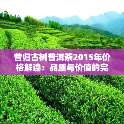 昔归古树普洱茶2015年价格解读：品质与价值的完美结合