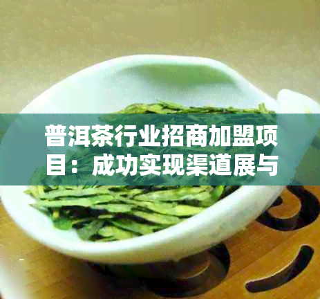 普洱茶行业招商加盟项目：成功实现渠道展与古树茶合作